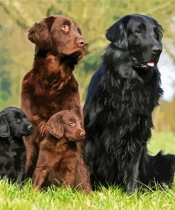 Flat Coated Retriever Dogs paint by number