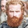 Game Of Thrones Kristofer Hivju Tormund paint by number