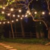 Garden String Lights paint by number