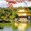 Golden Pavilion Kinkakuji Temple paint by number