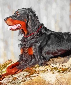 Gordon Setter Dog paint by number