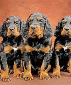 Gordon Setter Puppies paint by number