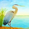 Herron Bird Art paint by number