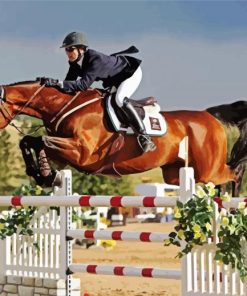 Horse Ride Event Show paint by numbers