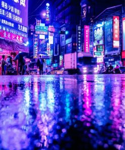 Japan Neon City paint by number