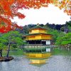 Kinkakuji Temple Reflection paint by number