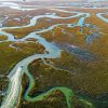 Lowcountry Marsh Aerial paint by numbers