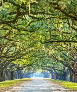 Lowcountry Trees paint by numbers