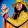 Macho Man Randy Savage paint by number