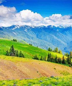 Olympic Hurricane Ridge paint by number