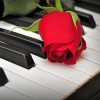 Piano With Red Rose paint by numbers