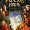 The Princess Bride Movie Poster paint by number