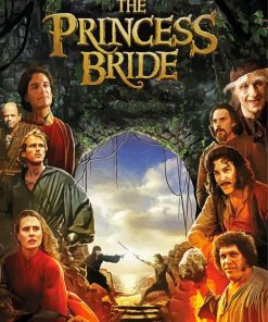 The Princess Bride Movie Poster paint by number