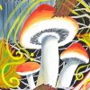 Psychadelic Mushrooms paint by number