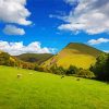 Sheeps In Dovedale Mountains paint by number