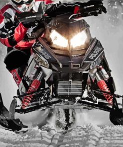 Snowmobile Driver paint by numbers