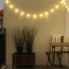 Solarvet Led String Lights paint by number