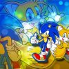 Sonic And Tails paint by number