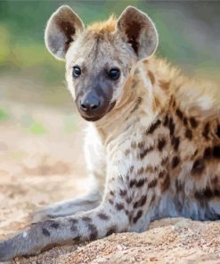 Spotted Hyena Animal paint by numbers