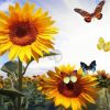 Sunflower And Butterflies paint by numbers