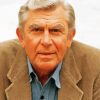 The American Actor Andy Griffith paint by number