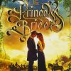 The Princess Bride Poster paint by number