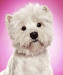 The West Highland Terrier Dog paint by number