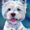 West Highland Terrier Dog Art paint by number