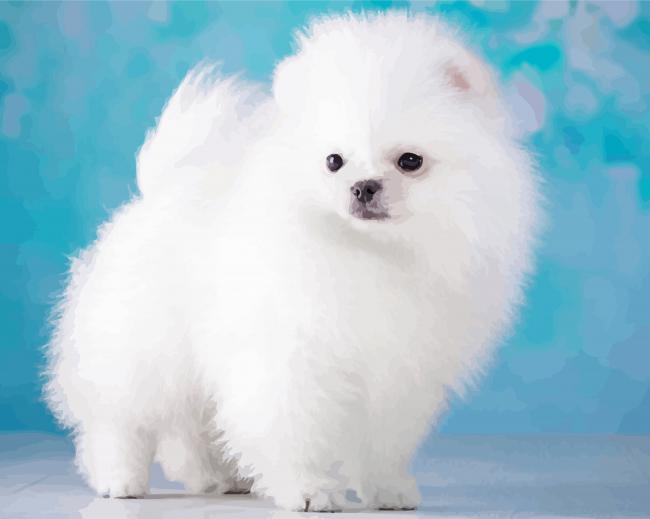 White Fluffy Puppy paint by number