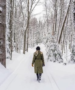 Woman Walking In Snow paint by numbers