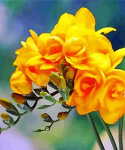 Yellow Freesia paint by number