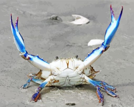 Beautiful Blue Crab paint by number