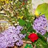Bird With Purple Flowers paint by number