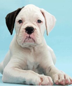 Black Eared White Boxer paint by number