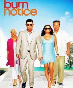 Burn Notice American Serie paint by number