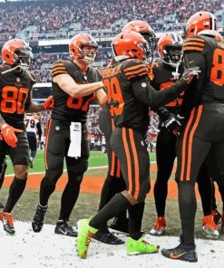 Cleveland Browns Team paint by number