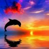 Dolphin At Sunset paint by number