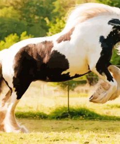 Gypsy Vanner paint by number