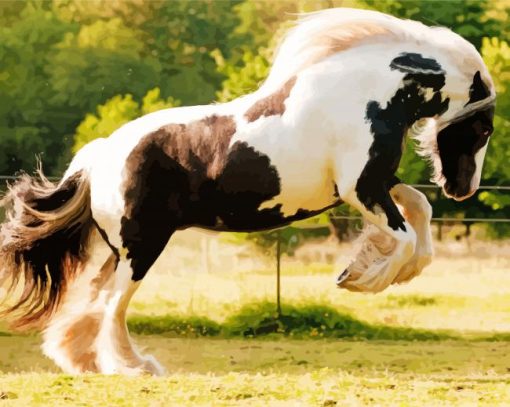 Gypsy Vanner paint by number