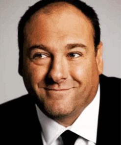 James Joseph Gandolfini paint by number