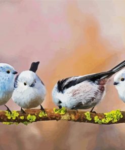 Long Tailed Tits On A Branch paint by number