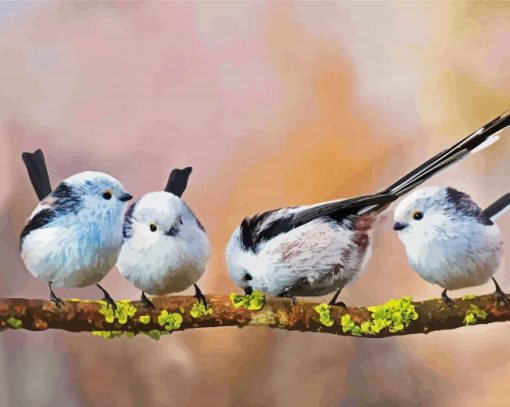 Long Tailed Tits On A Branch paint by number