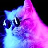 Neon Cats With Black Glasses paint by number