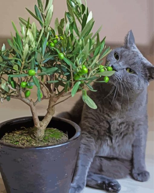 Olive Tree And Grey Cat paint by number