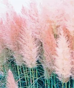 Pink Pampas paint by number