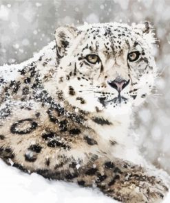 Snow Animal paint by number