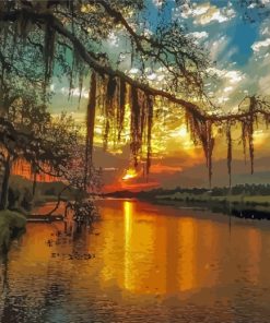 Spanish Moss At Sunset paint by number