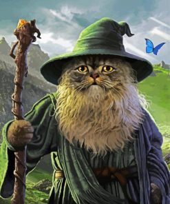 Wizard Cat paint by number