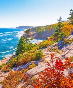 Acadia National Park paint by number