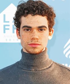 The Actor Cameron Boyce paint by number